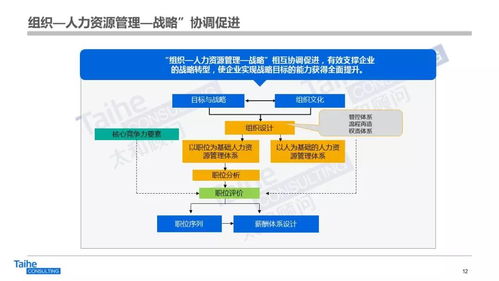 構(gòu)建以網(wǎng)絡(luò)技術(shù)開發(fā)為驅(qū)動(dòng)的人力資源管理體系，助力企業(yè)實(shí)現(xiàn)跨越式發(fā)展